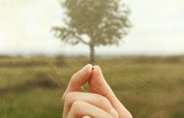 mustard seed